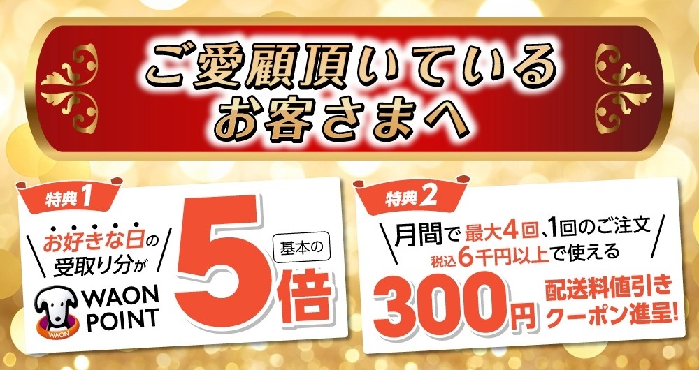 イオンネットスーパー継続利用者向け配送料330円値引きクーポンと5倍デー
